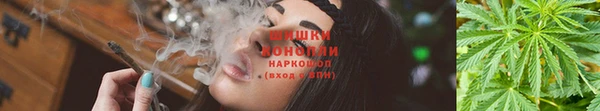 СК Заводоуковск