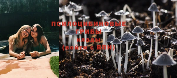 трава Заволжье