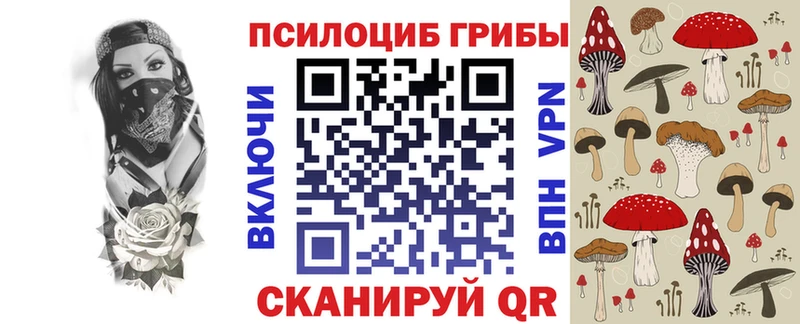 Псилоцибиновые грибы Cubensis  Нефтекамск 